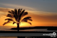 Por do sol na Praia da Calheta