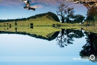 Fanal Upside down