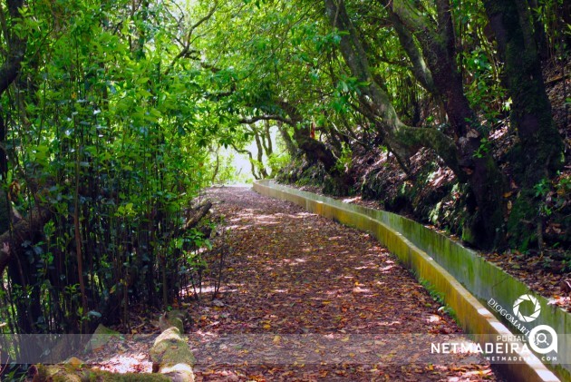 Pelo interior da Ilha da Madeira