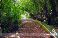 Pelo interior da Ilha da Madeira