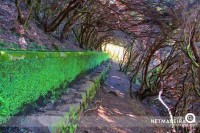 Levada das 25 fontes
