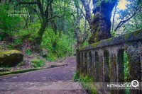 Levada dos balcões