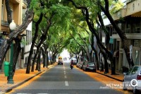 Avenida Zarco pintada