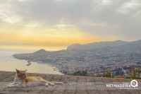 Miradouro das Neves