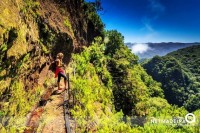 Madeira Nature Festival