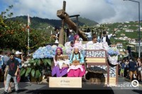 Festa das Vindimas 2016 - Estreito de Camara de Lobos