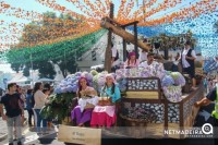 Festa das Vindimas 2016