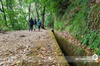Levadas na Ilha da Madeira
