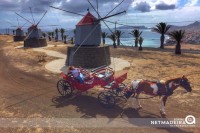 Moinhos no Porto Santo