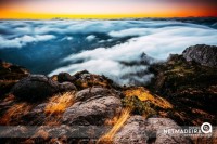 Madeira Landscape