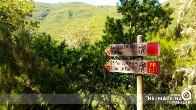 Que caminhos nos levarão esta levada