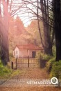 Poiso - Madeira