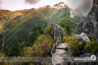 Madeira Island Nature Walks