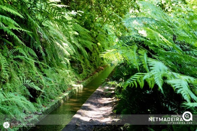 Levada do Reí - Ilha da Madeira