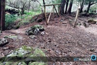 Nosso Montado do Pereiro