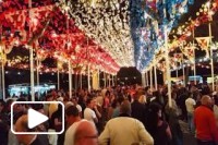 Festa de São Martinho - Ilha da Madeira
