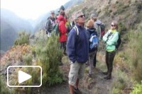 Ilha da Madeira- Veredas  e Levadas