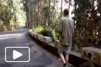 Faja dos Cardos - Curral das Freiras - Eira do Serrado - Funchal