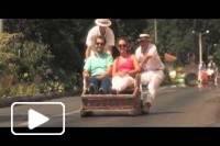 Madeira Todo o Ano