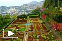 Jardim Botanico da Madeira