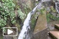 Levada Paul da Serra - Madeira Island