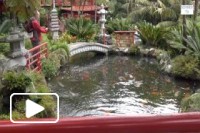 Madeira Tropical Garten