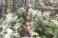Downhill - Madeira