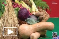 Mostra Gastronómica Santana 2016