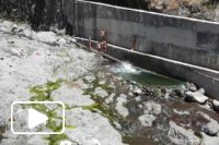 Mergulho na Ribeira da Serra de Agua - Madeira