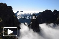 Madeira in July