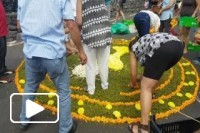 Tapetes Florais para as procissoes