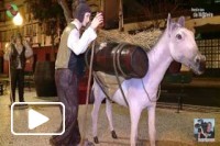 Festa do Vinho Madeira