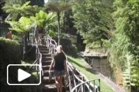 Um pequeno olhar pelo Ribeiro Frio