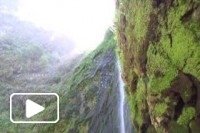 Madeira Levadas - Caldeirão - São Jorge