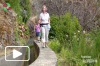 Madeira natureza selvagem
