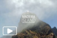 Moments in Madeira Island