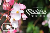 Visitando a Ilha da Madeira