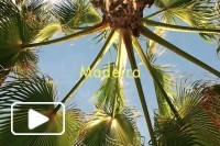 Travel Journal to Madeira Island