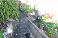 MADEIRA JANUARY 2017