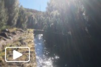 Madeira Holidays Snippet of February 2017