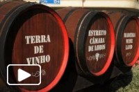 Recantos da Madeira dao a conhecer Estreito de Camara de Lobos