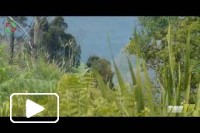 Tempo de relaxar