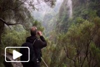 Madeira PR9 Levada do Caldeirão Verde