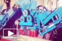Produção de açúcar e aguardente na Madeira