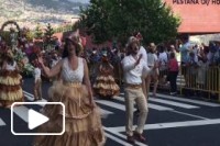 Um pequeno apanhado Festa da Flor 2017