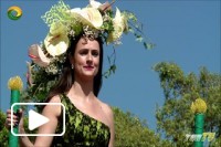Festa da Flor - Cortejo pelo Funchal 2017 Ilha da Madeira