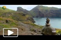 Madeira Exótica