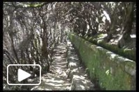 Rabaçal - Levadas da Madeira