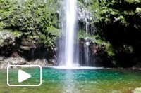 Levada Caldeirão Verde - Madeira