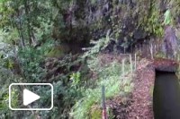 Levada da Ribeira da Janela - Ilha da Madeira